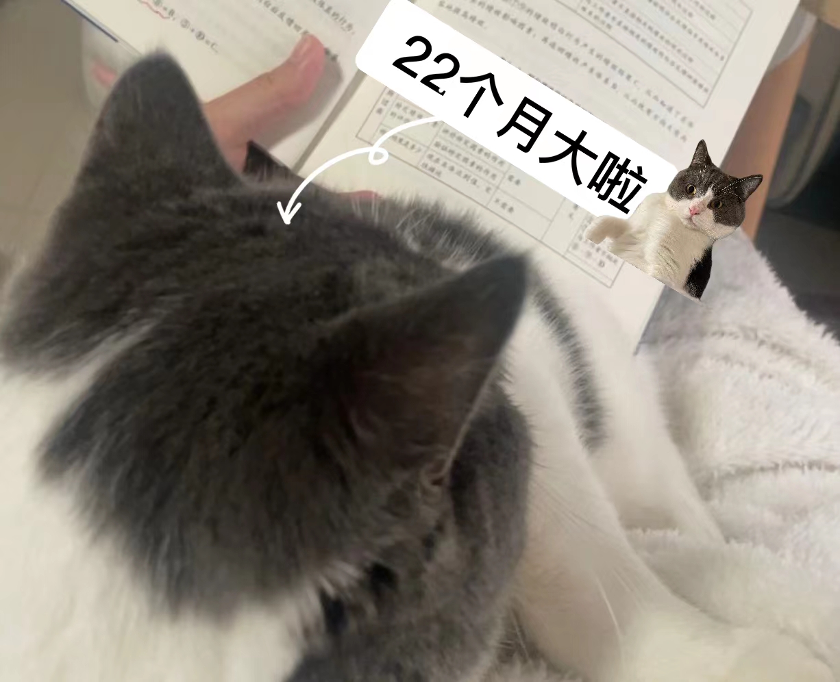 我與“22”個(gè)月大的貓貓看書.jpg